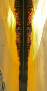 River Tulip II (2010), Russell Steven Powell photograph