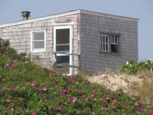 Provincetown Cape Cod dune shack