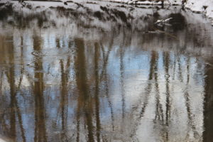 Mill River, Hatfield, Massachusetts, January. (Jonathan A. Wright photo)
