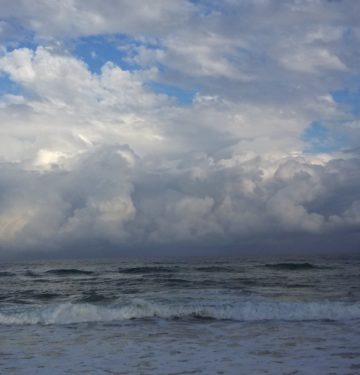 Florida, Atlantic Coast, February (Russell Steven Powell photo, Samsung 6)