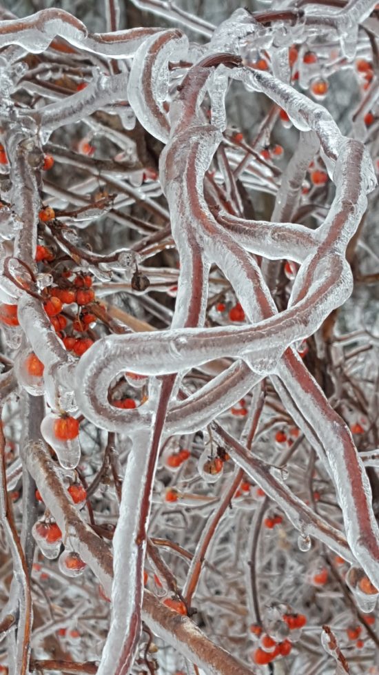 Ice Storm 3 (Russell Steven Powell photo, Samsung 6)